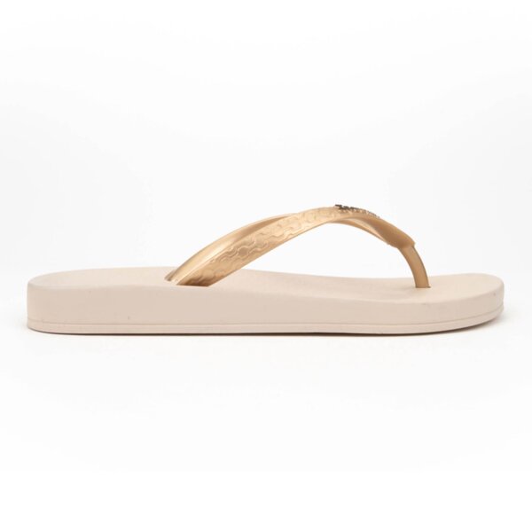 JAPONKE ANATOMICA TAN FEM