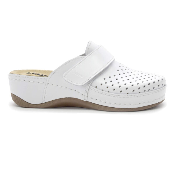 ANATOMSKE USNJENE COKLE