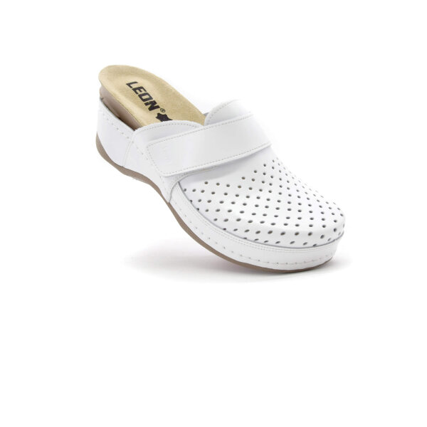 ANATOMSKE USNJENE COKLE