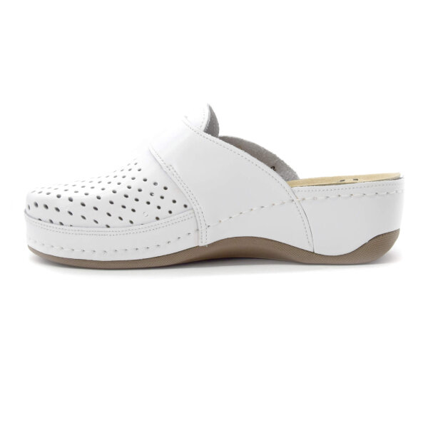 ANATOMSKE USNJENE COKLE