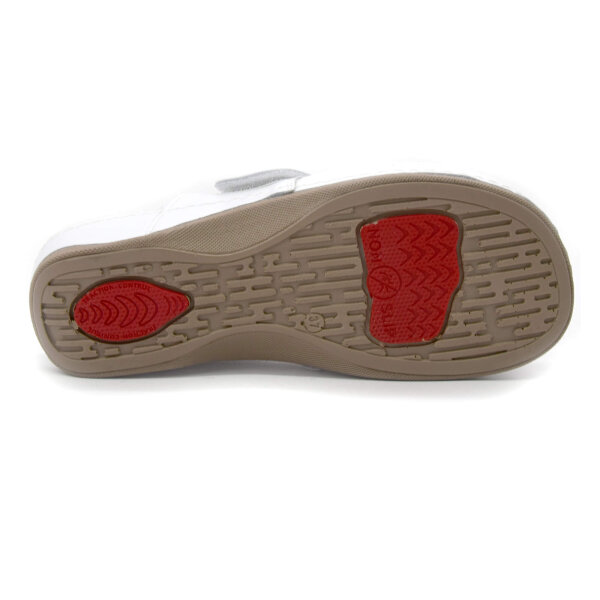 ANATOMSKE USNJENE COKLE