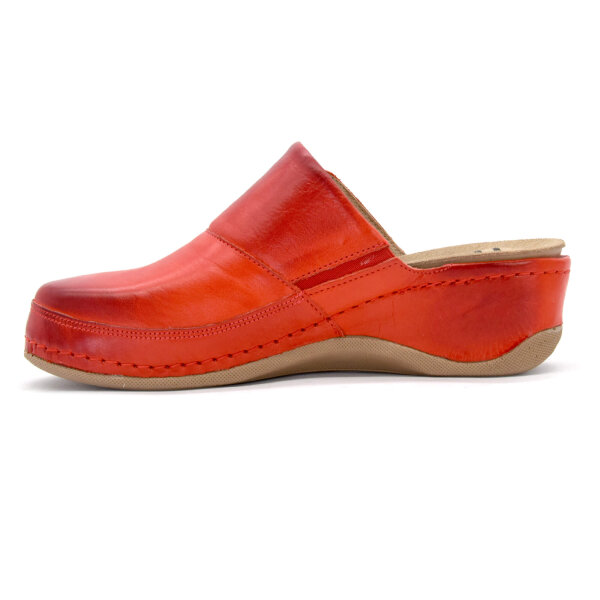 ANATOMSKE USNJENE COKLE