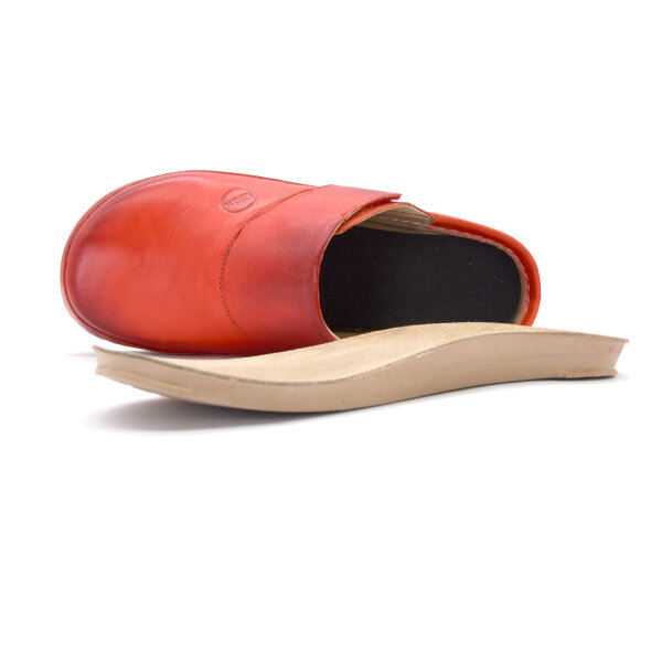 ANATOMSKE USNJENE COKLE