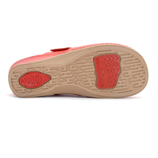 ANATOMSKE USNJENE COKLE