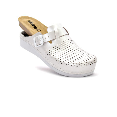 ANATOMSKE USNJENE COKLE