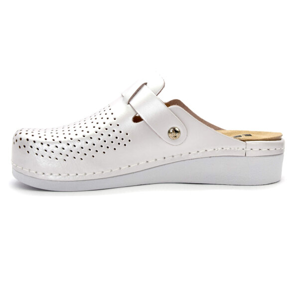 ANATOMSKE USNJENE COKLE