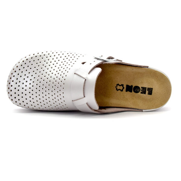 ANATOMSKE USNJENE COKLE