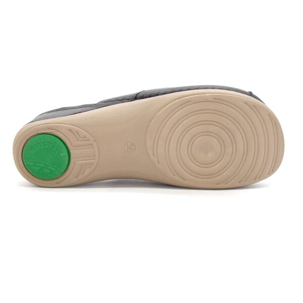 ANATOMSKE USNJENE COKLE