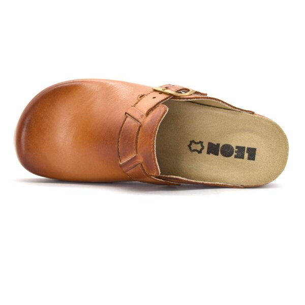 ANATOMSKE USNJENE COKLE