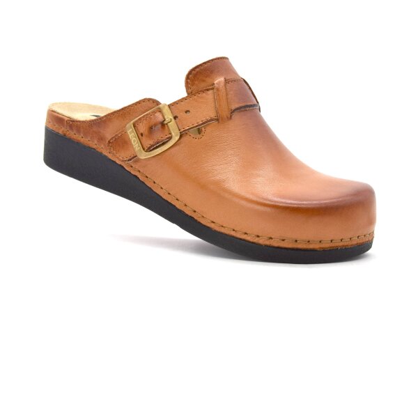 ANATOMSKE USNJENE COKLE