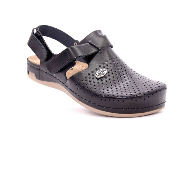 ANATOMSKE USNJENE COKLE