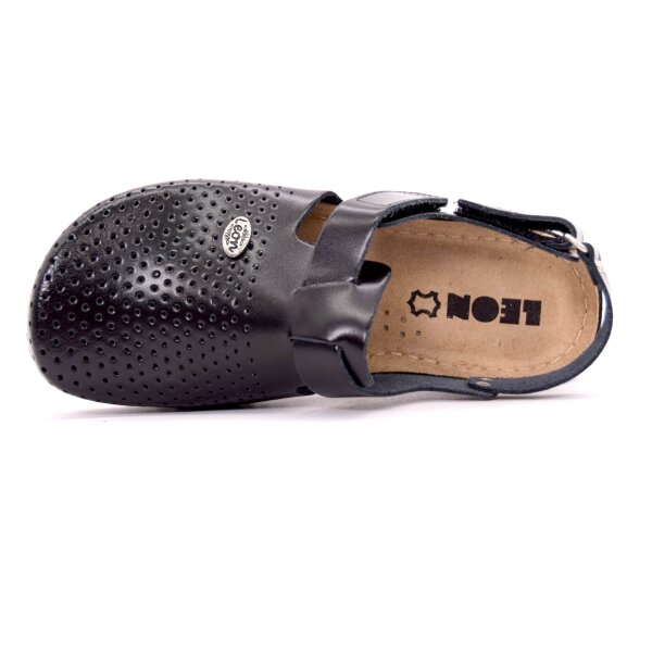 ANATOMSKE USNJENE COKLE