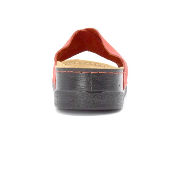 ANATOMSKI NATIKAČI