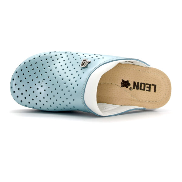 ANATOMSKE USNJENE COKLE