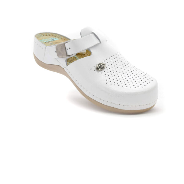 ANATOMSKE USNJENE COKLE