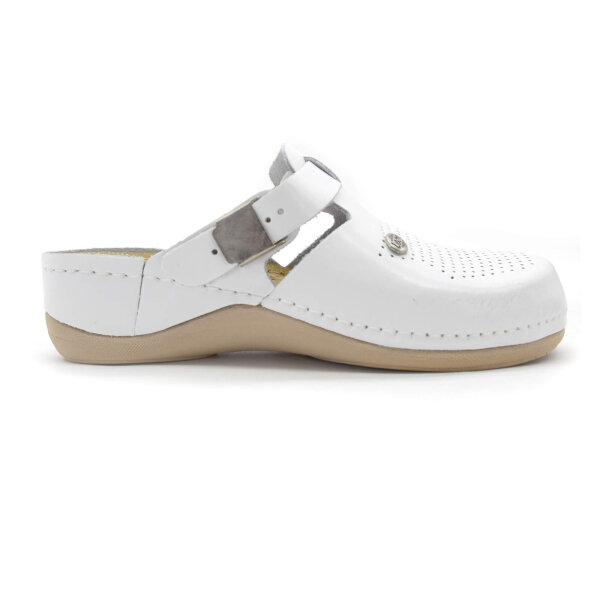 ANATOMSKE USNJENE COKLE