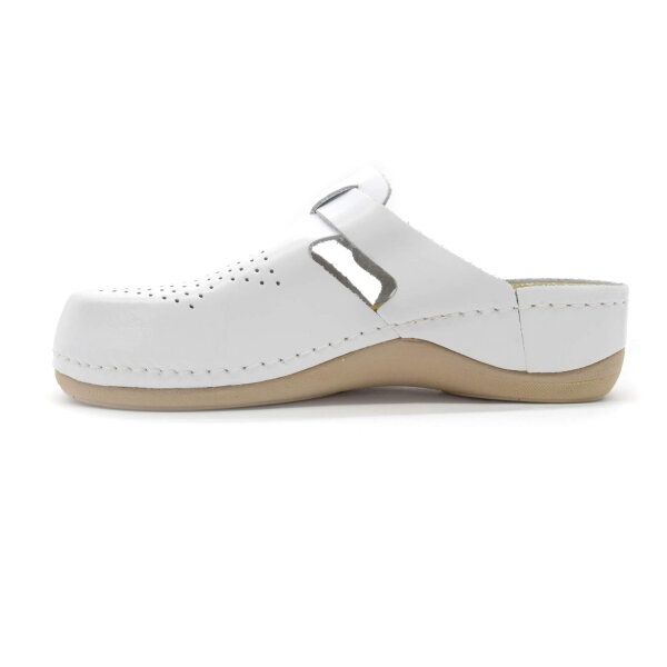 ANATOMSKE USNJENE COKLE