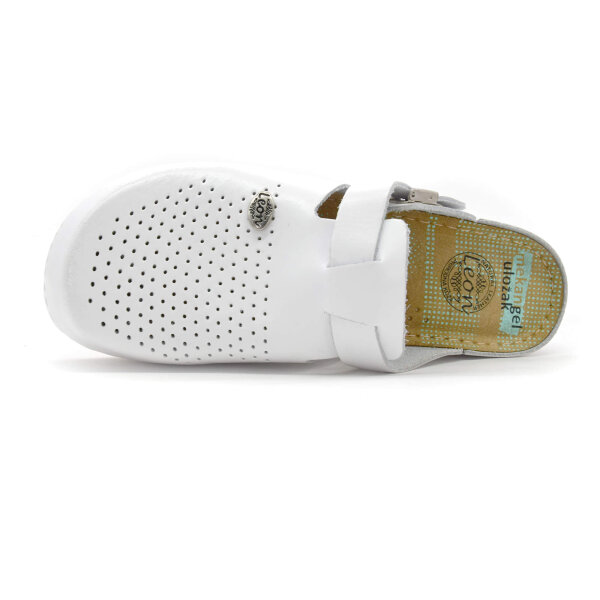 ANATOMSKE USNJENE COKLE